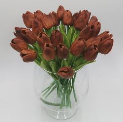 Tulipán - Barna