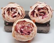  8-10cm tmrj, hatalmas, leth selyem peonia (bazsarzsa) fejvirg: pasztell magenta-rzsaszn cirmos