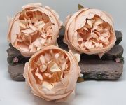  8-10cm tmrj, hatalmas, leth selyem peonia (bazsarzsa) fejvirg: rett barack