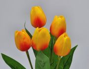  5 szlas csokor, 30cm hossz, 4,5-5cm-es fej, csodaszp, leth szilikon-gumi tulipn levllel: szntmenetes srga-narancs
