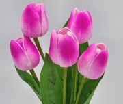  5 szlas csokor, 30cm hossz, 4,5-5cm-es fej, csodaszp, leth szilikon-gumi tulipn levllel: pink-fehr cirmos