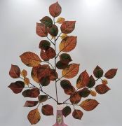  56cm hossz, 45cm szles, hatalmas, szi g, rengeteg 5-8cm-es levllel: barns-zldes rnyalat
