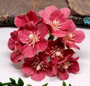  9x3cm-es, sok 2cm-es virggal, gymlcsfa virg csokrocska: stt mlyva