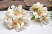  9x3cm-es, sok 2cm-es virggal, gymlcsfa virg csokrocska: ivory