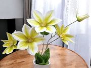  80cm hossz, exkluzv, 5 gon 8-12cm-es virg, leth gumi Klematisz szl: vajsznn