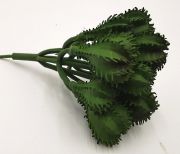  12db-os kaktuszcsokor, 7cm magas, 7cm tmrj: sttzld