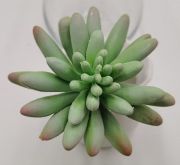  10cm tmrj, 5cm magas,  gmbly ceruzalevel pozsgs