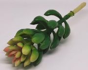  15cm hossz, hsos level, rzsaszn kzep, zld pozsgs, 4cm-es beszrval